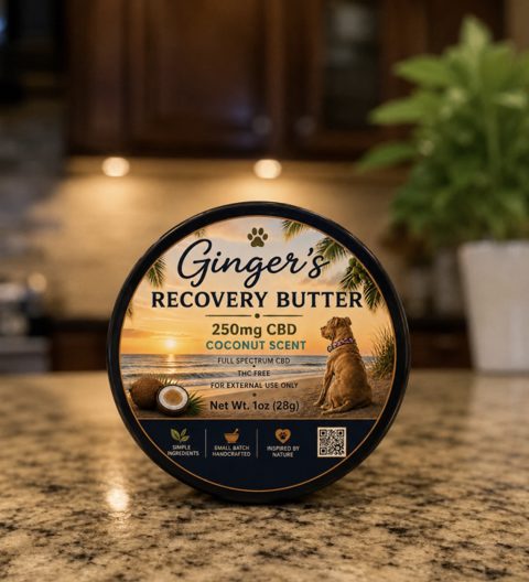 Ginger's Recovery Butter, 250 mg CBD coconut scent, 1 oz (28 g) jar